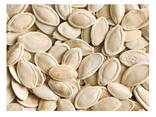 Wholesale Supplier of Dried Pumpkin Kernels/Pumpkin Seeds - photo 1