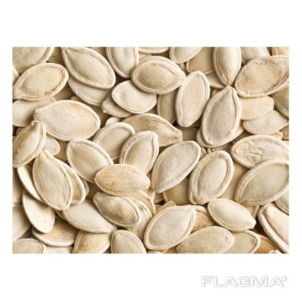 Natural Fresh Pumpkin Seeds and Kernels Green Processed Top Grade 25KG Belgium
