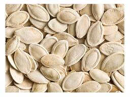 Natural Fresh Pumpkin Seeds and Kernels Green Processed Top Grade 25KG Belgium