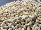 Cashew nut - photo 1