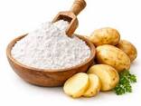 Potato starch Highest extravance produced in Belarus - фото 1