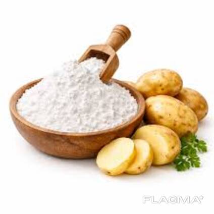 Potato starch Highest extravance produced in Belarus