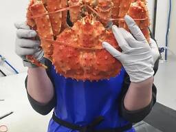 Red King Crab, Frozen and Live King Crab