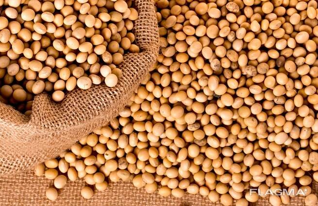 Soya (soybeans)