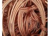 Top Grade 99.9% Purity Copper Scrap Industrial Berry Copper Wire Bulk 20kg - photo 2